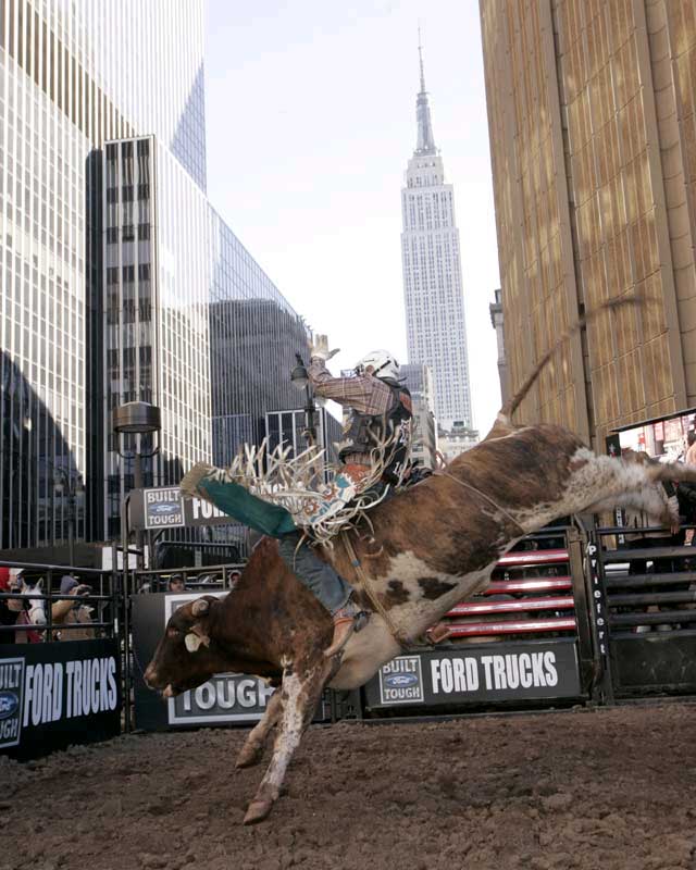 2008_01_bullride.jpg