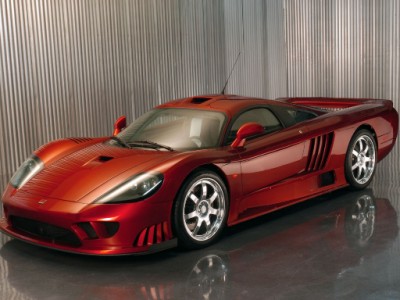 saleen-s7twinturbo01[1].jpg