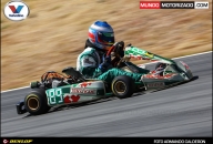 arc_6499