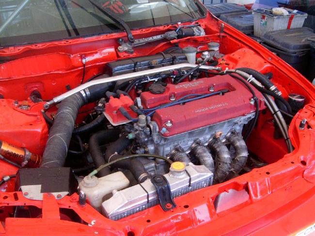 Radiador Marco Castro.jpg