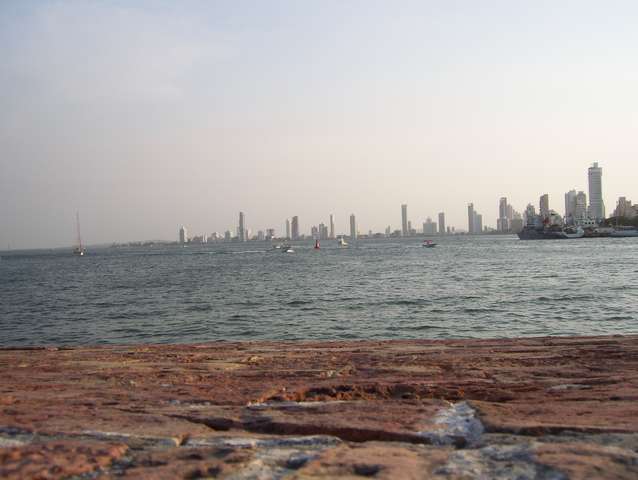 100_1982.jpg