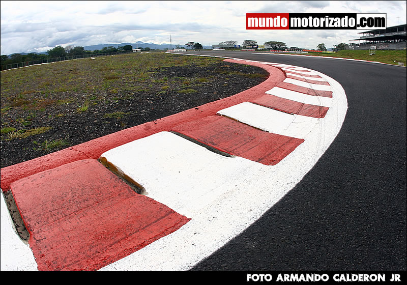 p4.jpg