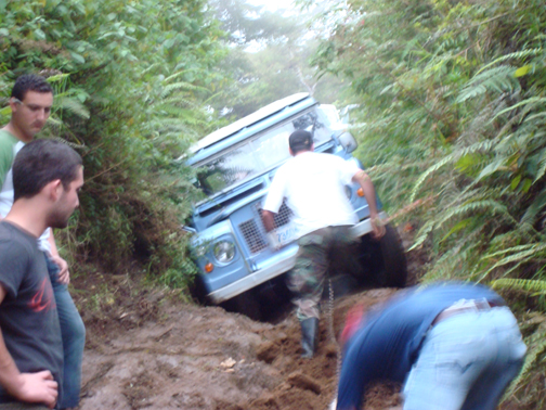 landy5gf5.jpg