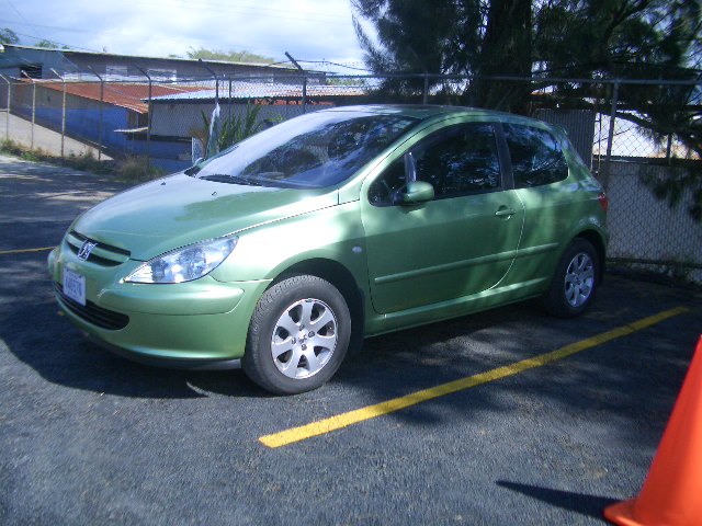 Peugeot_307 2.0cc.jpg