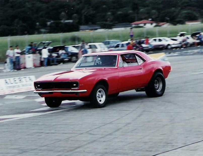 albrook 1995