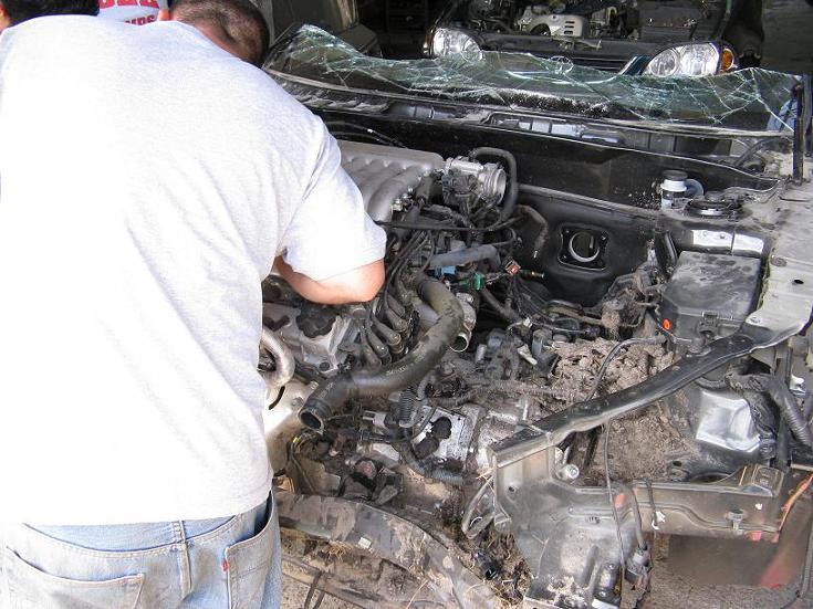 El motor aun en la trompa...