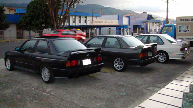 DSC00531.jpg