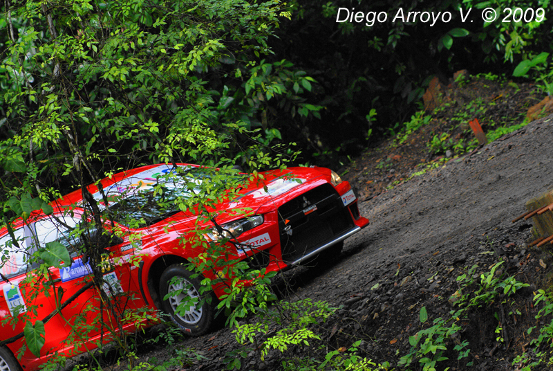 DSC03098(1) copy.jpg