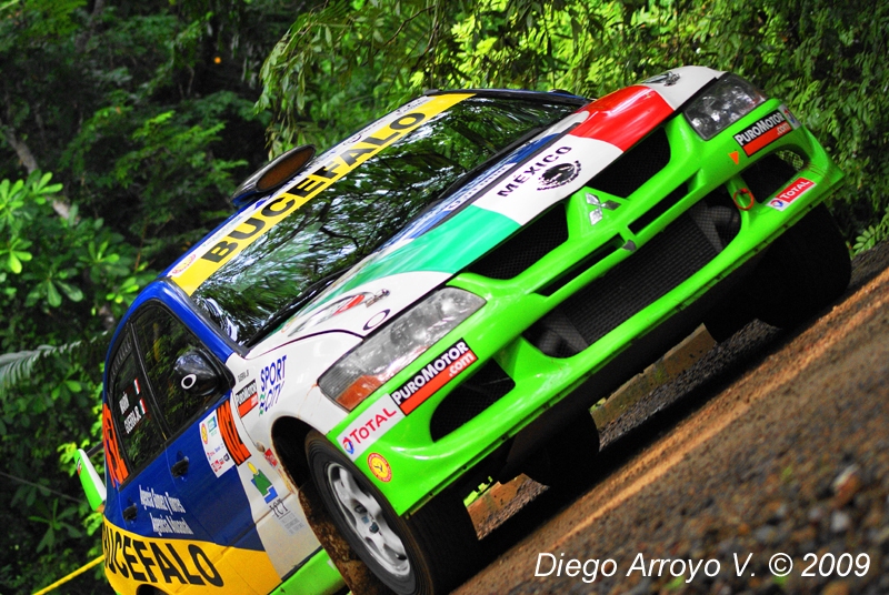 DSC03110(1) copy.jpg