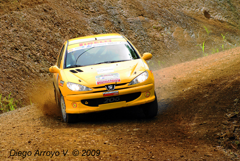 DSC03229(1) copy.jpg