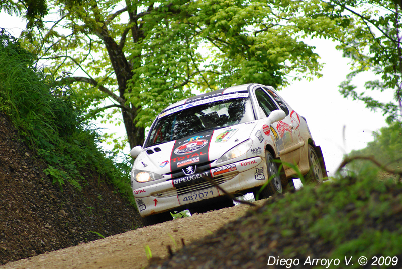 DSC03334(1) copy.jpg