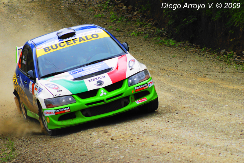 DSC03644(1) copy.jpg