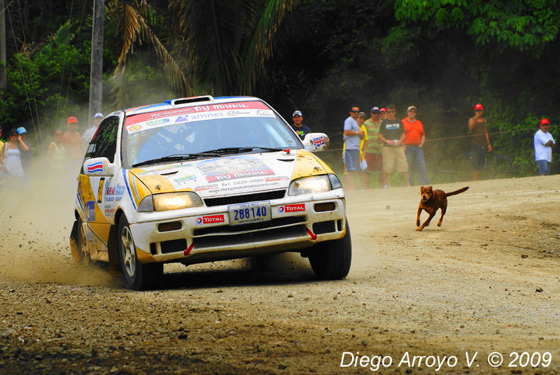 DSC03455(1) copy.jpg