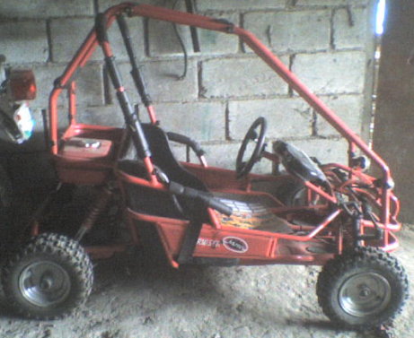 BuggySide.JPG