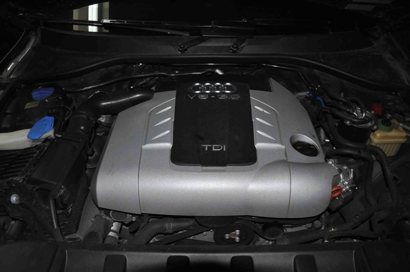 DSC_0274 reducida.jpg