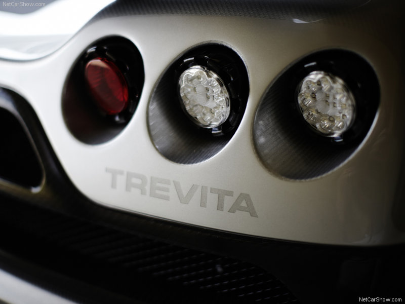 Koenigsegg-CCXR_Trevita_2010_800x600_wallpaper_07.jpg