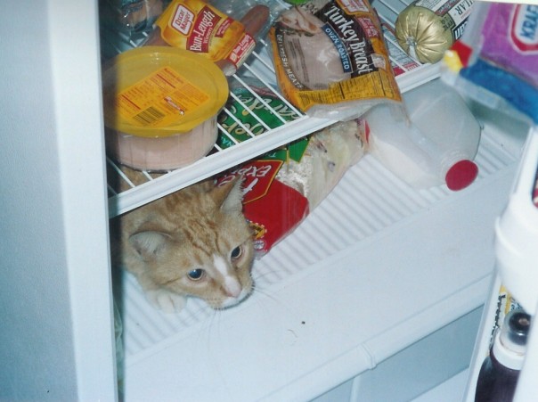 como se metio !!.jpg