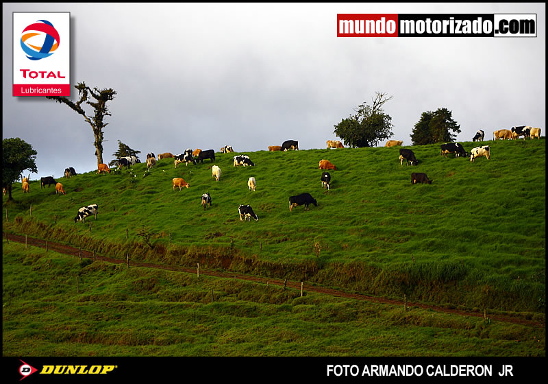 _RC_7953.jpg