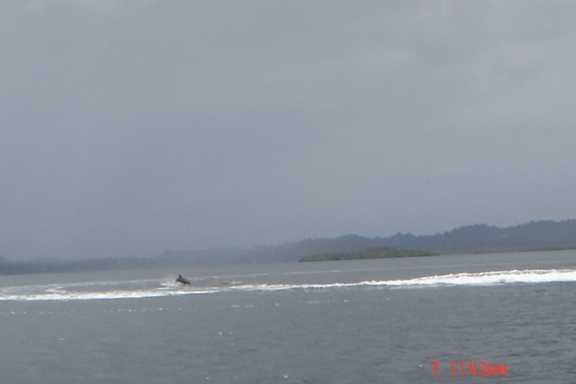 Bahia de los delfines