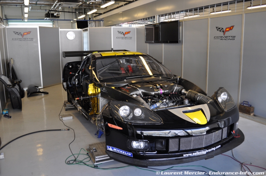 Selleslagh Racing - Team China2.jpg