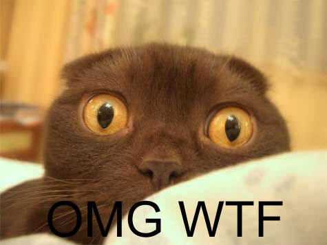 omg-wtf.jpg
