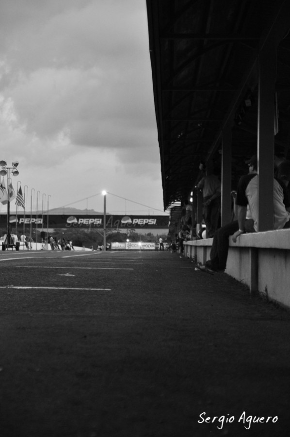 DSC_0223 low res.jpg