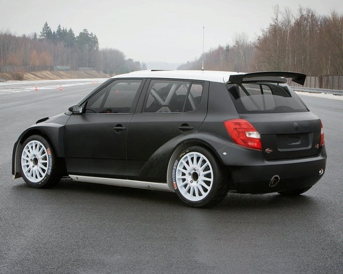 skoda-fabia-s2000.jpg