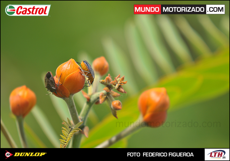 MM-med-MM-fede-med-5843.jpg