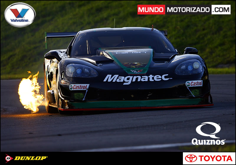 _RC_9642 1.jpg