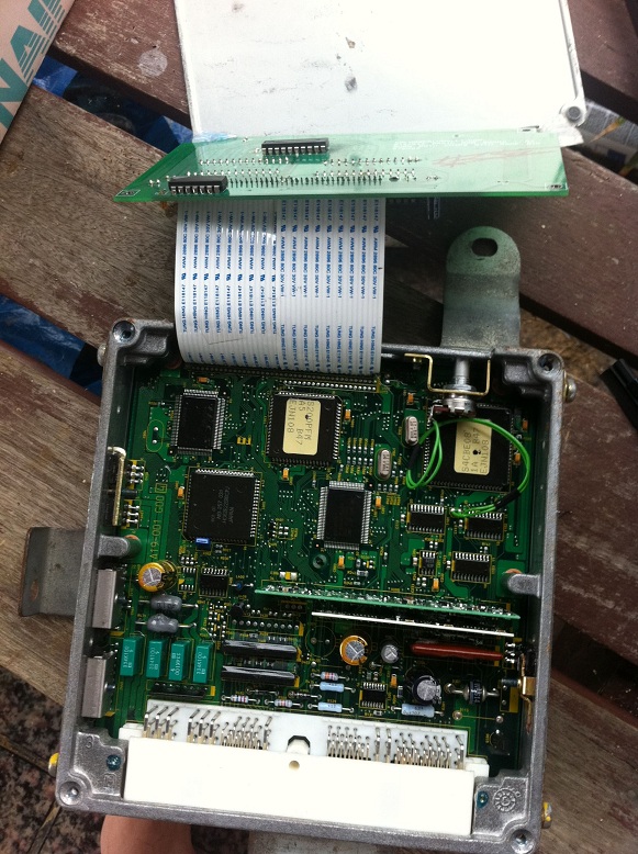 Foto 06-01-12 01 36 58 p.m..jpg