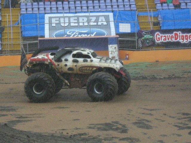 Monster Mutt Dalmatian