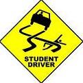 student driver.jpeg