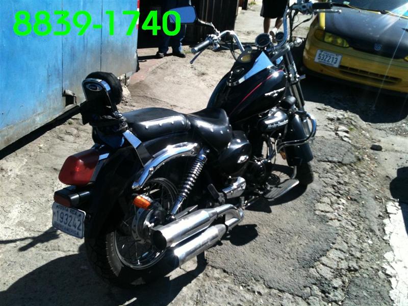 IMG_0184 (Large) (Medium).jpg