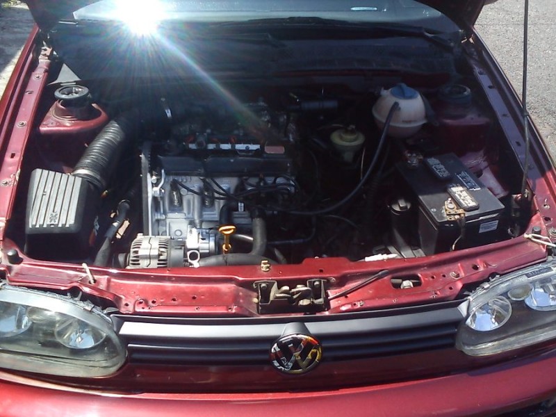 Copia de DSC00457.jpg