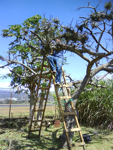 yoorch subido en la escalera
