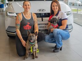 Zaguatón Navideño busca recolectar alimento para los 1.800 perros de Territorio de Zaguates